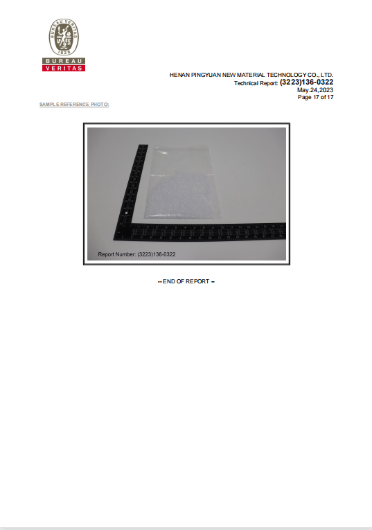 RGPPS REACH 報告 17